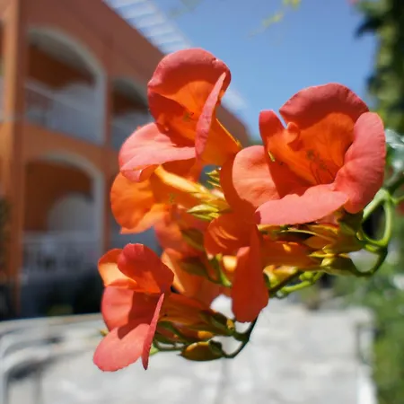 Benitses Arches